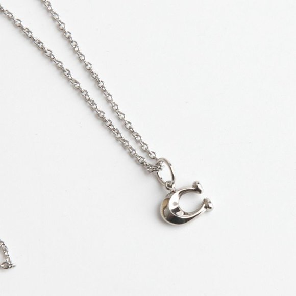 BRAND NEW COACH SIGNATURE C SILVER NECKLACE - Picture 6 of 9